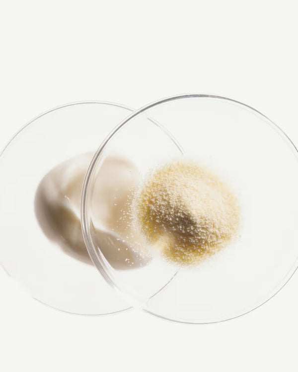 Bifidobacterium 4 cepas