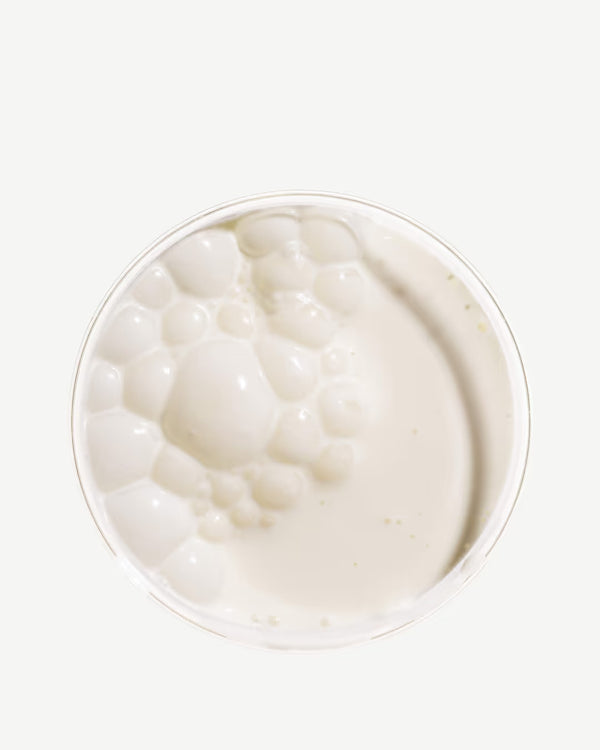 Lactobacillus 8 cepas
